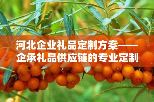 河北企业礼品定制方案——企承礼品供应链的专业定制服务