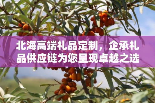 北海高端礼品定制，企承礼品供应链为您呈现卓越之选