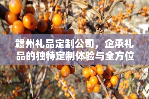 赣州礼品定制公司，企承礼品的独特定制体验与全方位服务
