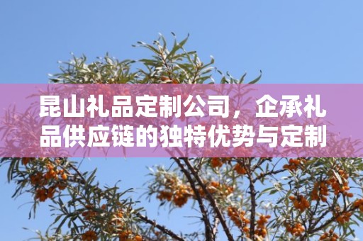 昆山礼品定制公司，企承礼品供应链的独特优势与定制体验