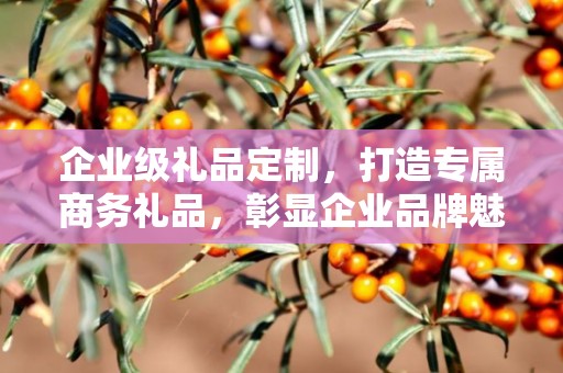 企业级礼品定制，打造专属商务礼品，彰显企业品牌魅力