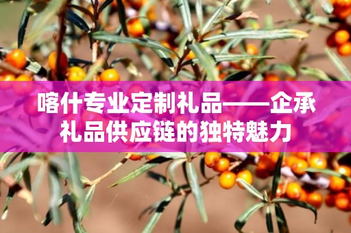 喀什专业定制礼品——企承礼品供应链的独特魅力