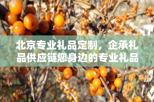 北京专业礼品定制，企承礼品供应链您身边的专业礼品定制公司