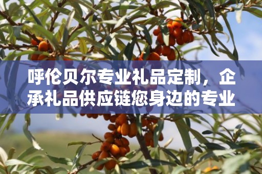呼伦贝尔专业礼品定制，企承礼品供应链您身边的专业礼品定制公司