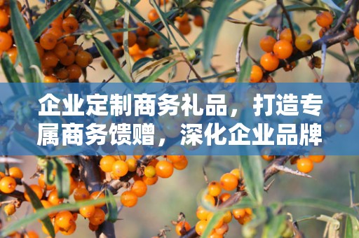 企业定制商务礼品，打造专属商务馈赠，深化企业品牌印象