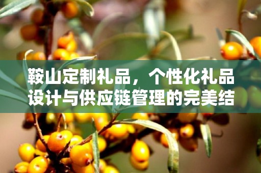 鞍山定制礼品，个性化礼品设计与供应链管理的完美结合