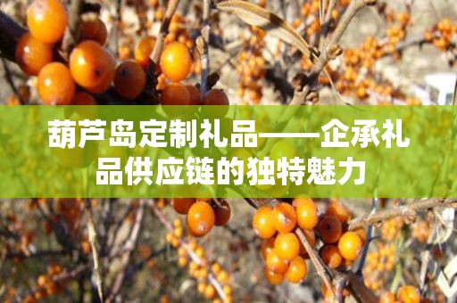 葫芦岛定制礼品——企承礼品供应链的独特魅力