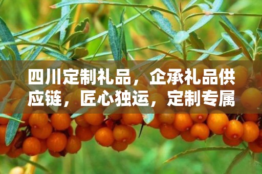 四川定制礼品，企承礼品供应链，匠心独运，定制专属礼品