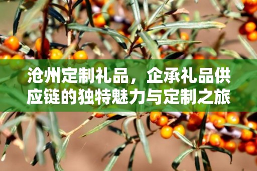 沧州定制礼品，企承礼品供应链的独特魅力与定制之旅