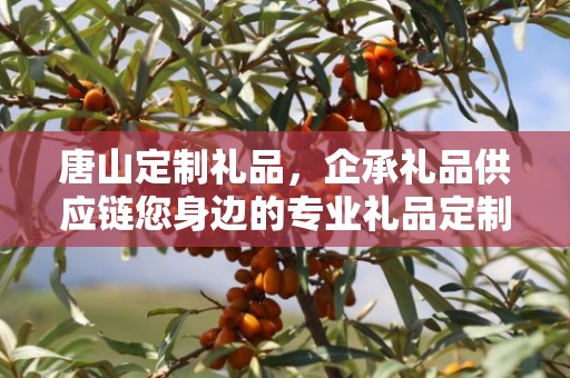 唐山定制礼品，企承礼品供应链您身边的专业礼品定制公司