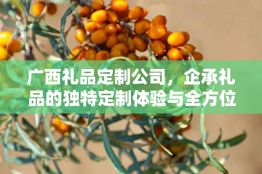 广西礼品定制公司，企承礼品的独特定制体验与全方位供应链服务