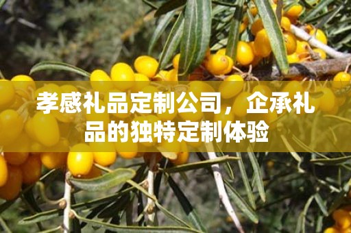 孝感礼品定制公司，企承礼品的独特定制体验