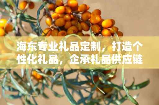 海东专业礼品定制，打造个性化礼品，企承礼品供应链助力商务发展