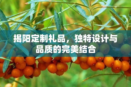 揭阳定制礼品，独特设计与品质的完美结合