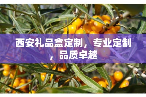 西安礼品盒定制，专业定制，品质卓越