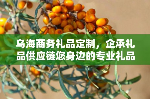 乌海商务礼品定制，企承礼品供应链您身边的专业礼品定制公司
